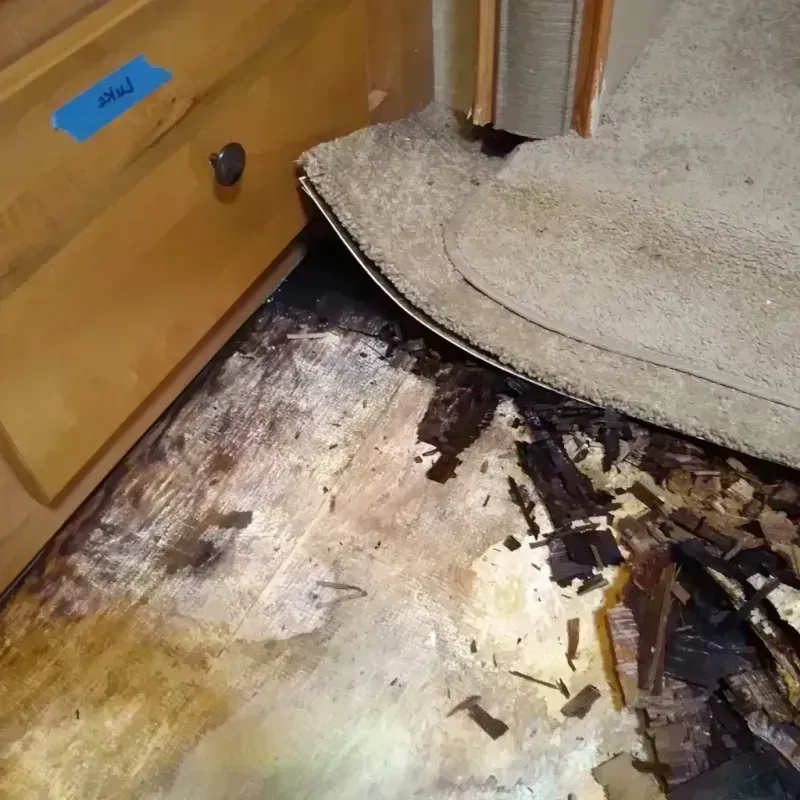 Wood Floor Water Damage in Sunrise, FL